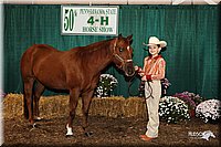 4H-State-Show-09_369.jpg