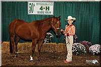 4H-State-Show-09_370.jpg