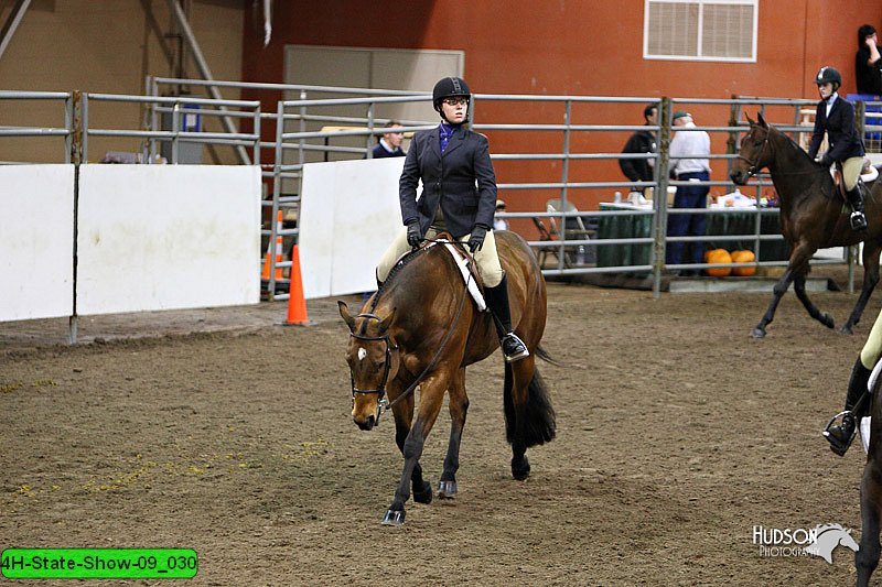 4H-State-Show-09_030.jpg