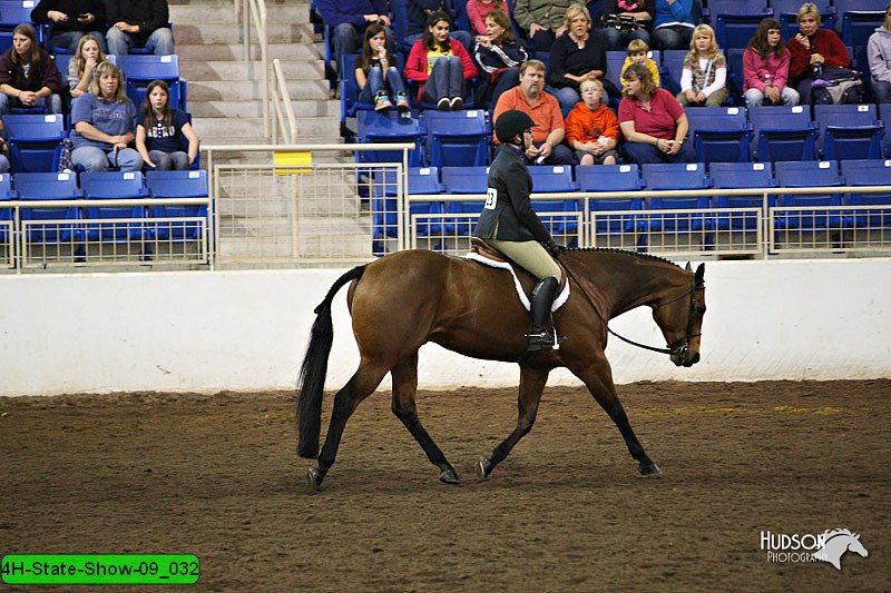 4H-State-Show-09_032.jpg