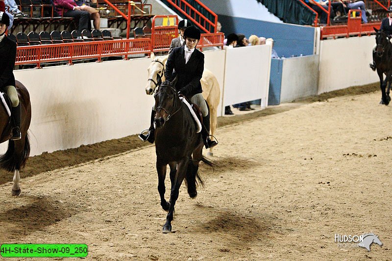 4H-State-Show-09_250.jpg