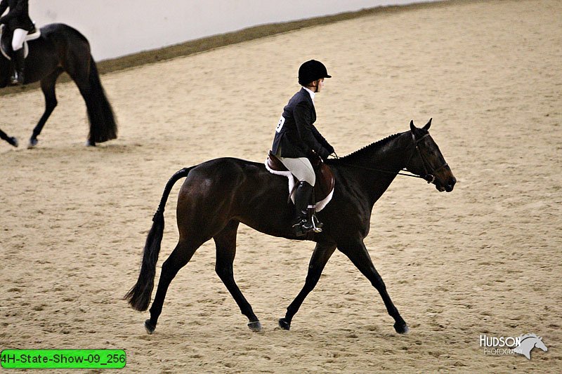 4H-State-Show-09_256.jpg