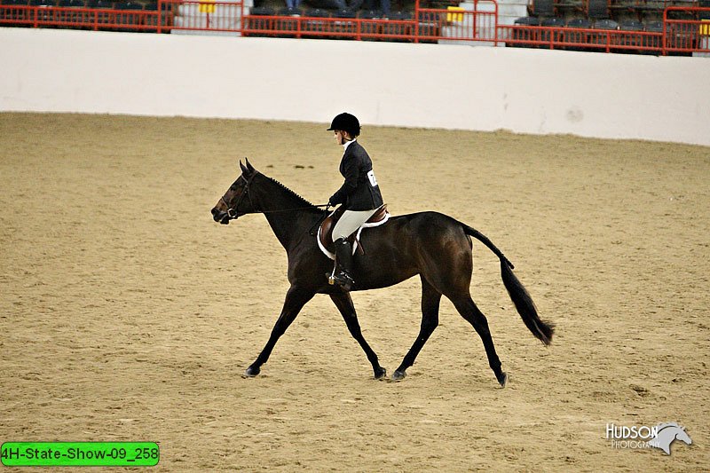 4H-State-Show-09_258.jpg