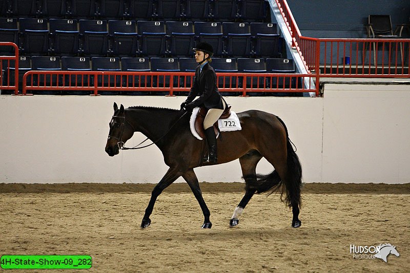 4H-State-Show-09_282.jpg
