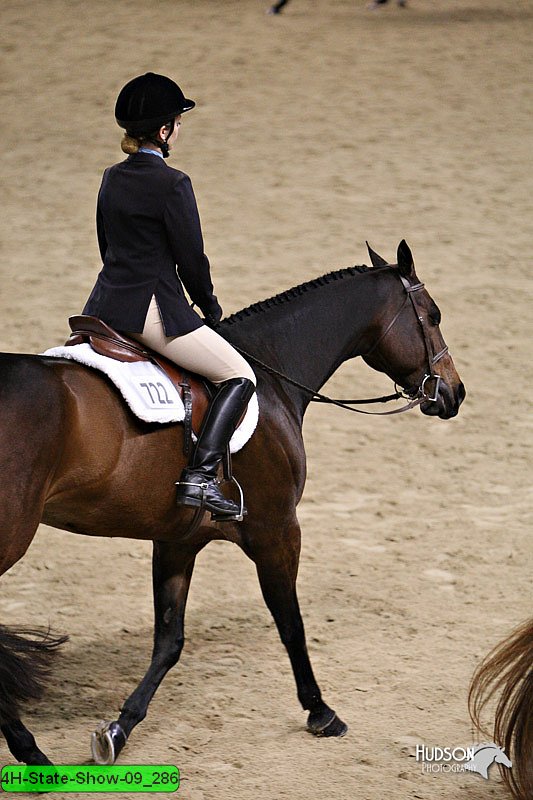 4H-State-Show-09_286.jpg