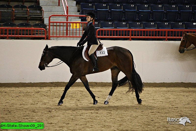 4H-State-Show-09_291.jpg