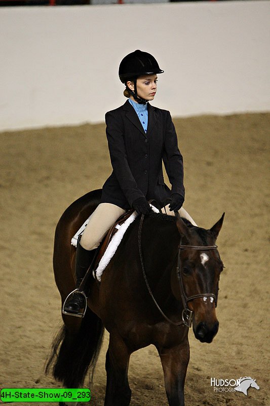 4H-State-Show-09_293.jpg