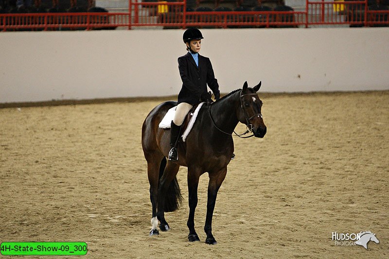 4H-State-Show-09_300.jpg