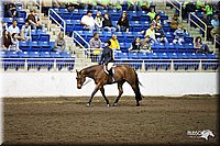 4H-State-Show-09_025.jpg