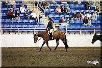 4H-State-Show-09_026.jpg