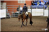 4H-State-Show-09_028.jpg