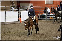 4H-State-Show-09_030.jpg