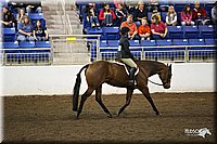 4H-State-Show-09_032.jpg