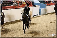 4H-State-Show-09_250.jpg