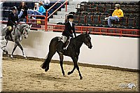 4H-State-Show-09_251.jpg