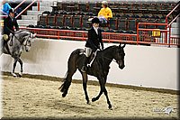 4H-State-Show-09_252.jpg