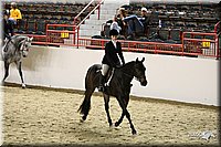 4H-State-Show-09_253.jpg