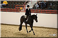 4H-State-Show-09_254.jpg