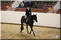 4H-State-Show-09_255.jpg