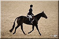 4H-State-Show-09_257.jpg