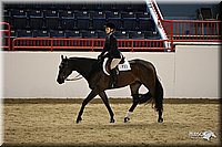 4H-State-Show-09_282.jpg