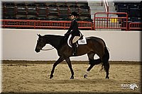 4H-State-Show-09_283.jpg