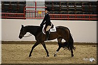 4H-State-Show-09_284.jpg