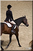 4H-State-Show-09_286.jpg