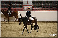 4H-State-Show-09_288.jpg