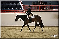 4H-State-Show-09_290.jpg