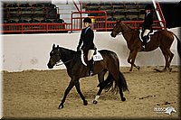 4H-State-Show-09_292.jpg