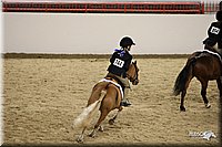 4H-State-Show-09_297.jpg