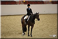 4H-State-Show-09_300.jpg