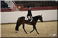 4H-State-Show-09_301.jpg