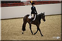 4H-State-Show-09_302.jpg