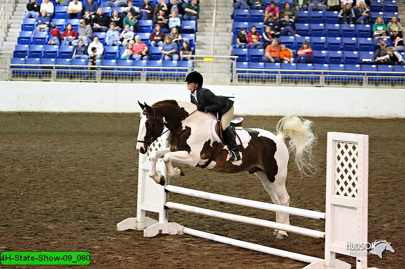 4H-State-Show-09_080.jpg