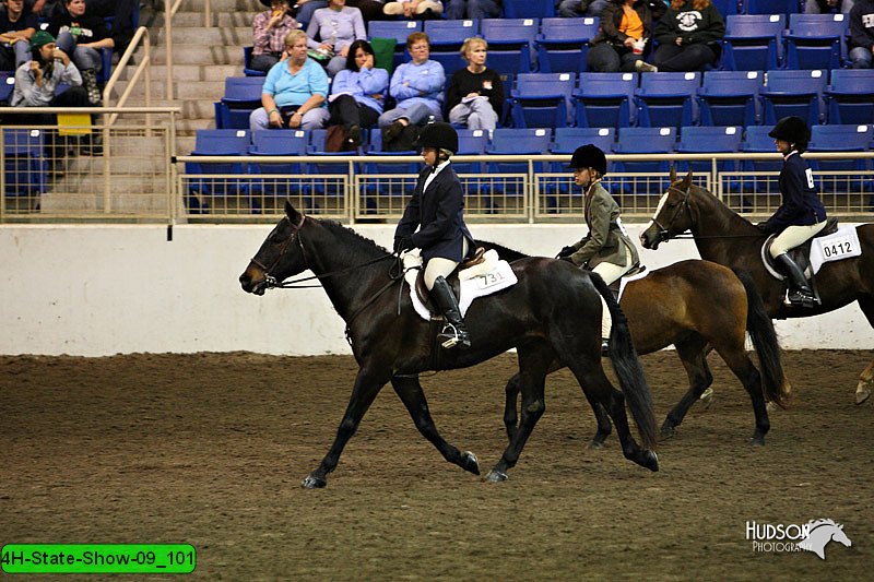 4H-State-Show-09_101.jpg