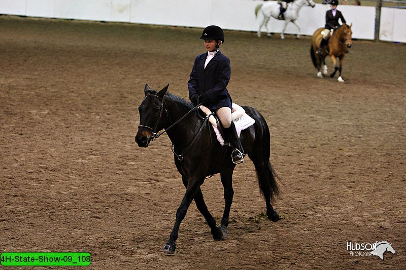 4H-State-Show-09_108.jpg