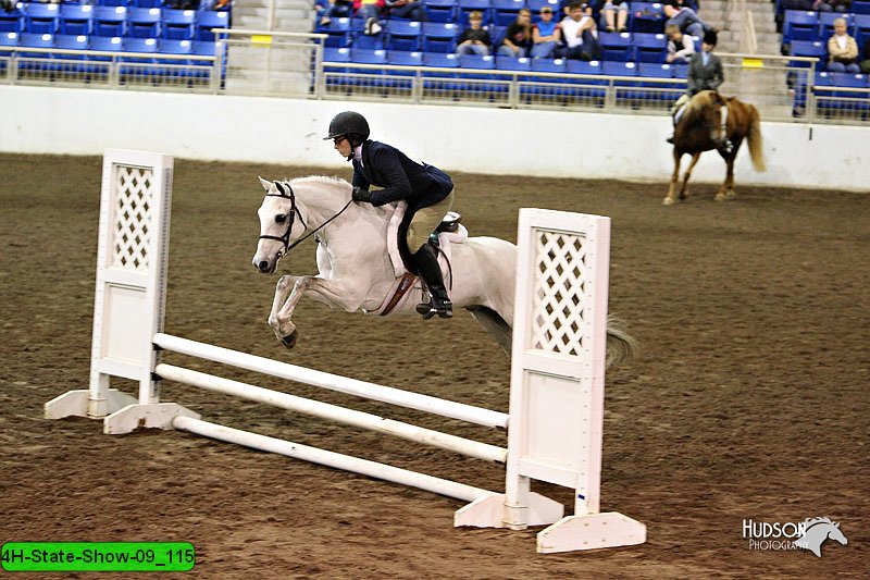 4H-State-Show-09_115.jpg