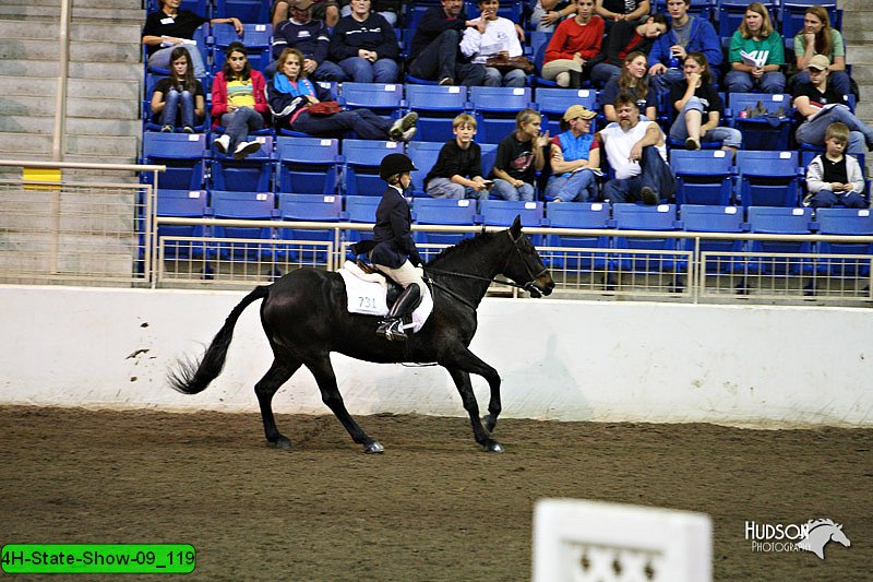 4H-State-Show-09_119.jpg
