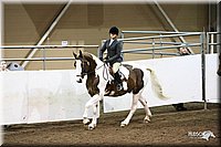 4H-State-Show-09_074.jpg