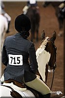 4H-State-Show-09_076.jpg