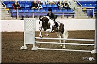 4H-State-Show-09_079.jpg