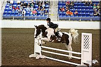 4H-State-Show-09_080.jpg