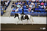 4H-State-Show-09_083.jpg