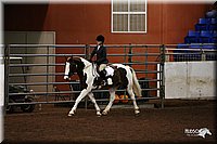 4H-State-Show-09_084.jpg