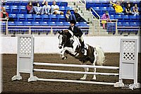 4H-State-Show-09_091.jpg