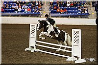 4H-State-Show-09_092.jpg