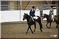 4H-State-Show-09_103.jpg