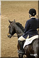 4H-State-Show-09_112.jpg